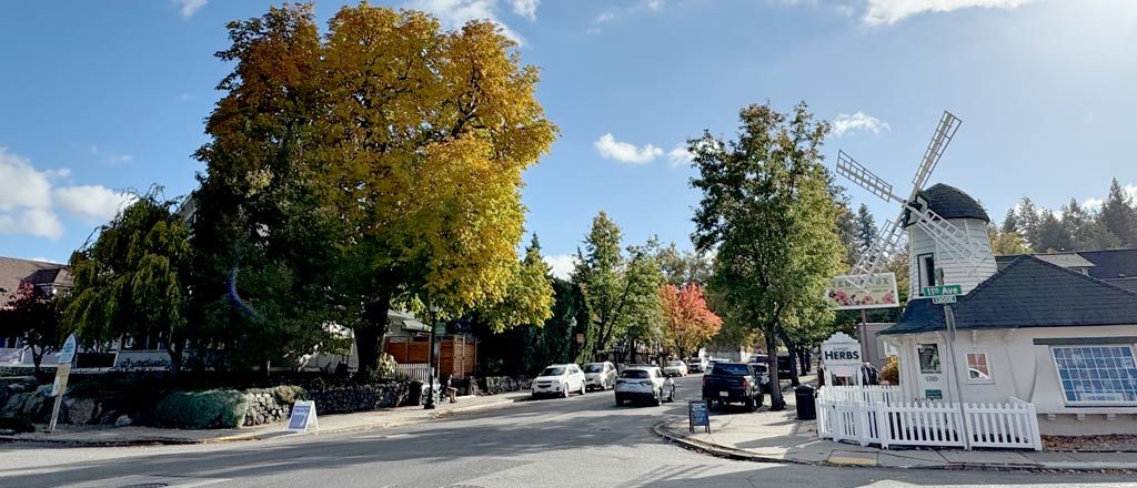 The Perry District in Spokane, WA is trendy & vibrant Neighborhood.